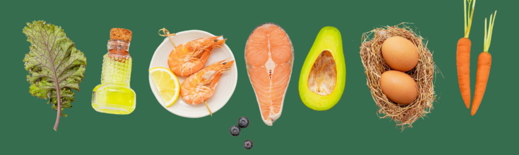 Pro Metabolic-Diät