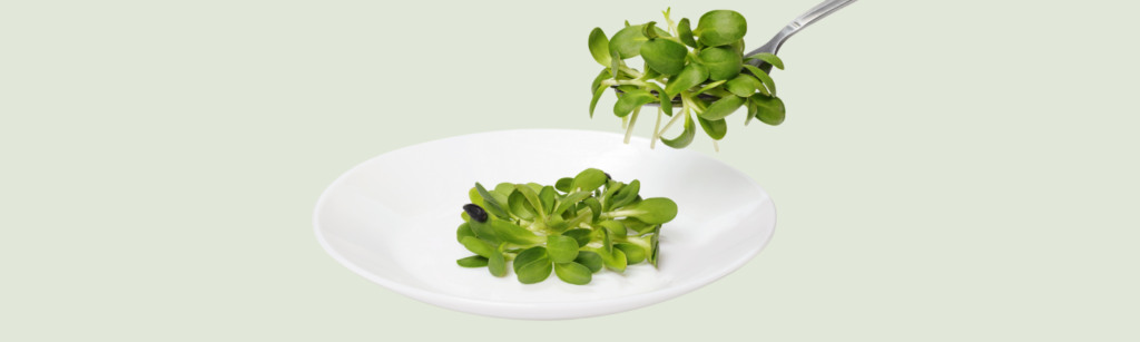 vegane Mahlzeitenplan