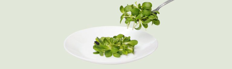 vegane Mahlzeitenplan
