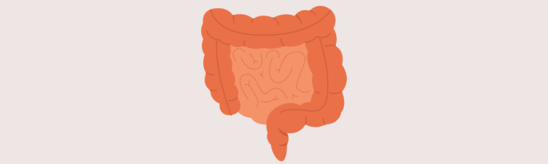 Plan de comidas para la confusión metabólica