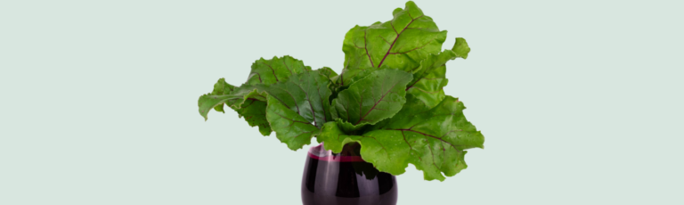 diabéticos consumir jugo de remolacha
