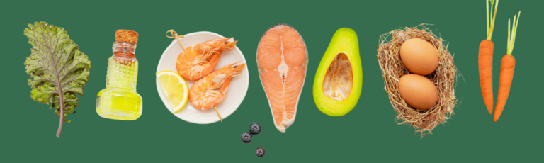 Dieta Pro Metabólica