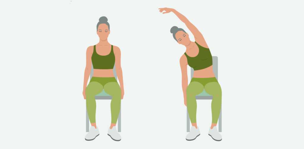 Flexiones Laterales Sentado
