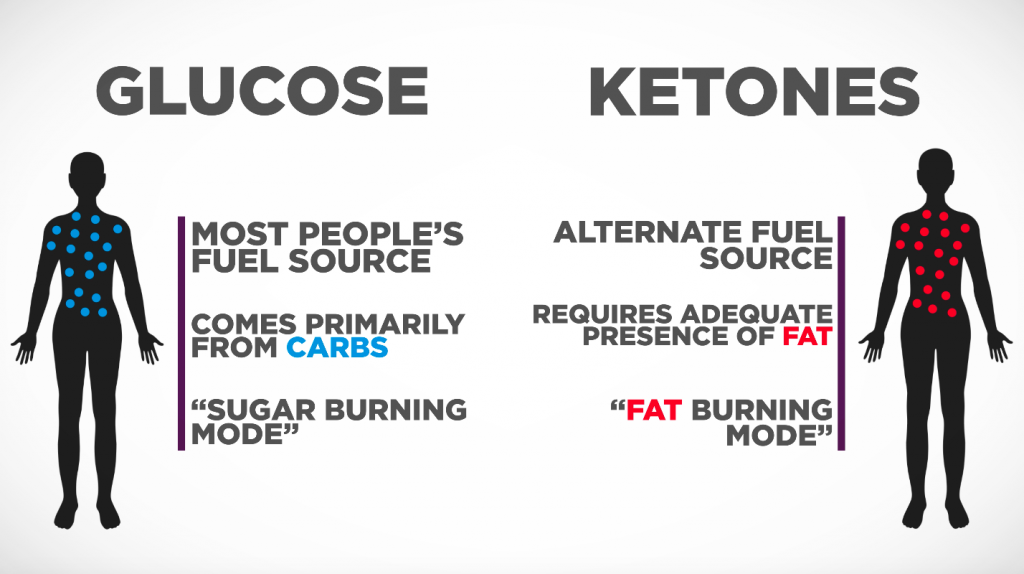 what is ketosis